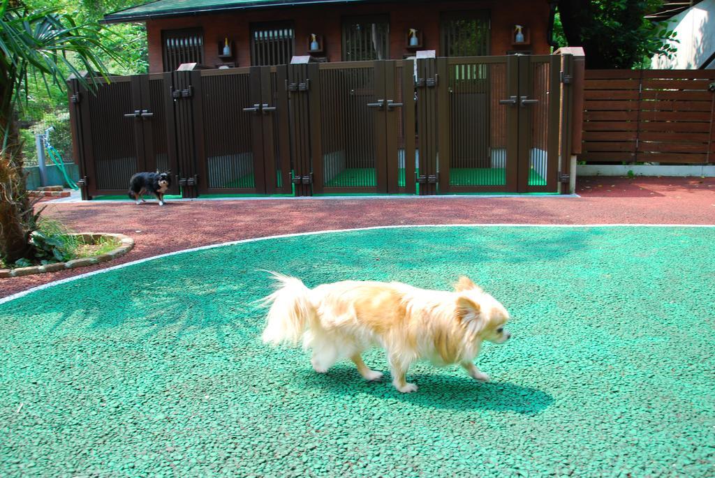 Okumizuma Onsen Hotel Kaizuka Exterior photo